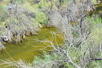 Pecos River 0015