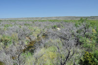 Pecos River 0013