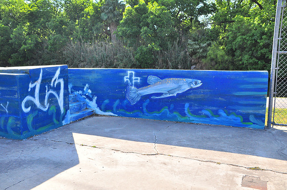 Basketball Court 0001h
