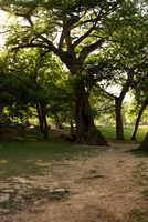 Garner State Park 0008