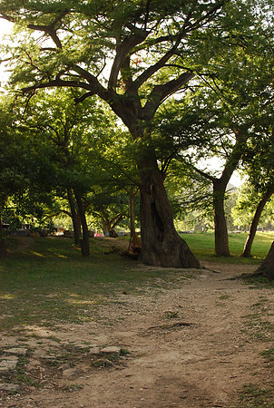 Garner State Park 0008