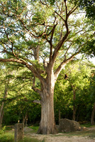 Garner State Park 0009