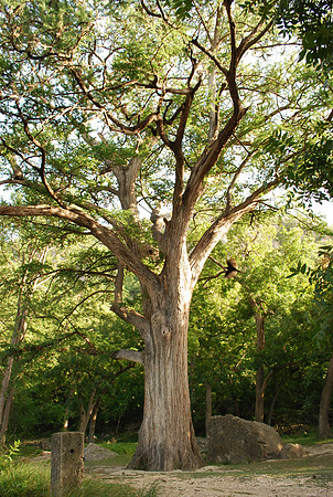 Garner State Park 0009
