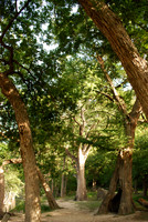 Garner State Park 0011