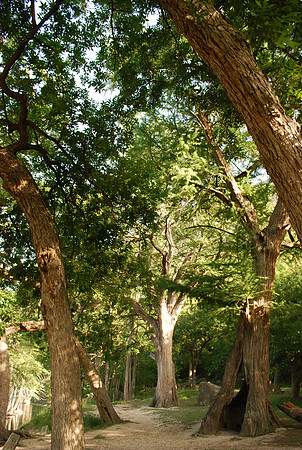 Garner State Park 0011