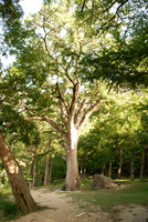 Garner State Park 0010