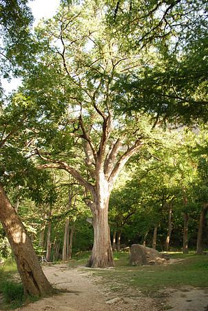 Garner State Park 0010