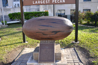 Seguin Pecan 01