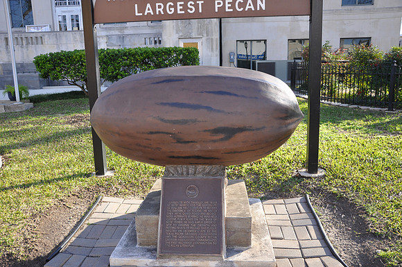 Seguin Pecan 01