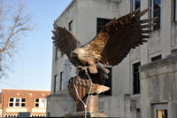 Veteran Memorial Eagle 02