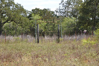 Ellis Cemetery