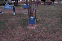 Catherine R. McLauren
