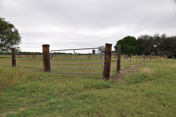 Taylor Family Cemetery