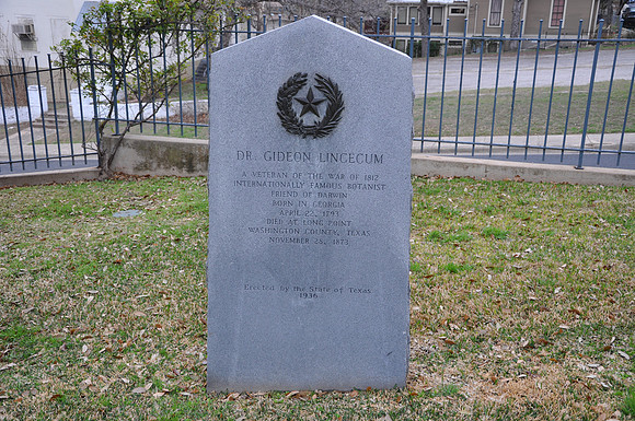 Dr. Gideon Lincecum