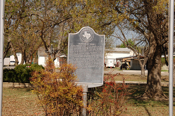 Alsatians of Texas