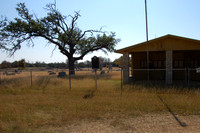 Mahomet Cemetery