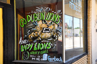 Go Dublin Lions
