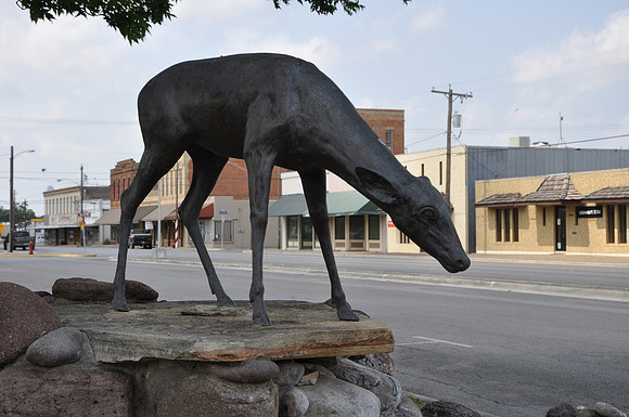 Deer 02