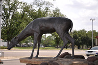 Deer 01