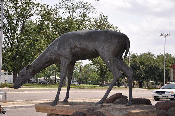 Deer 01