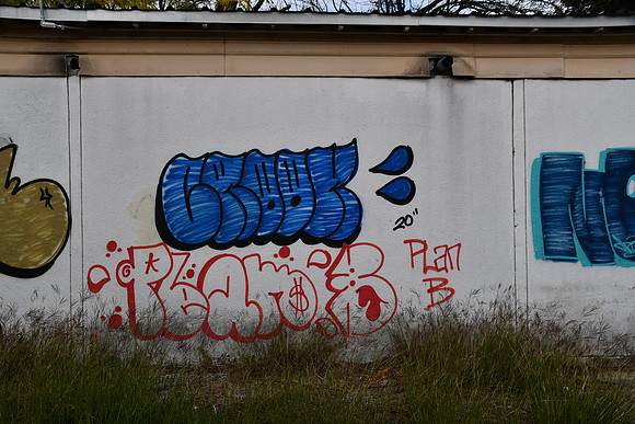 McLennan County - Waco Graffiti 0026
