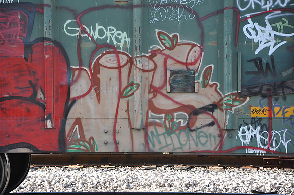 Train Graffiti - Austin Texas - 10-23-11