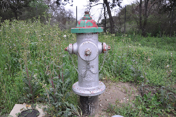 Fire Hydrant - Bell County 0001