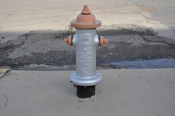 Fire Hydrant - Williamson County 0001