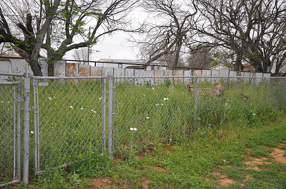 Carranza Cemetery II