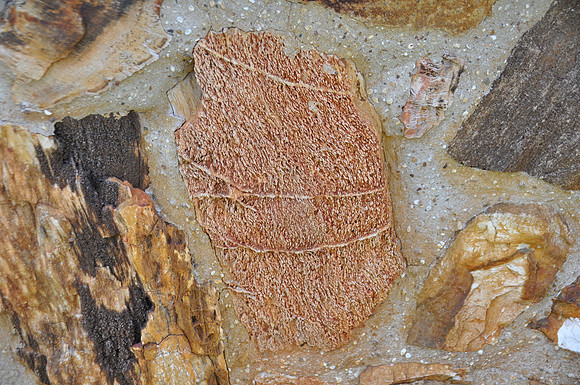 Rock Building - Milam County 0001e