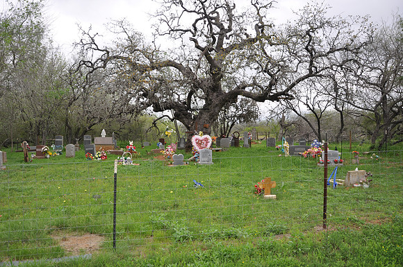 C. T. Trevino Cemetery