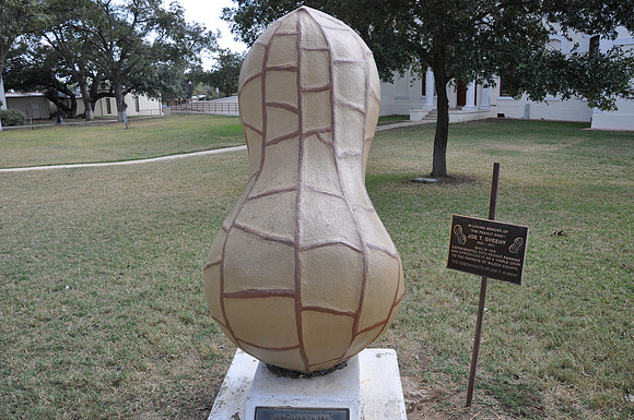 Floresville Peanut