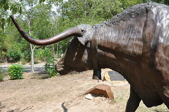 Bell Steer 03