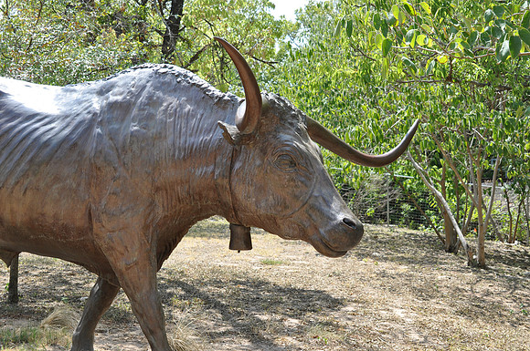 Bell Steer 01