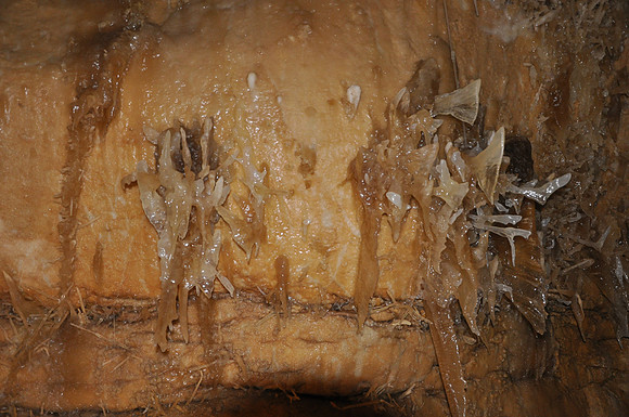 Caverns of Sonora 0060