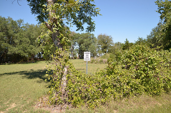 Ferguson Cemetery