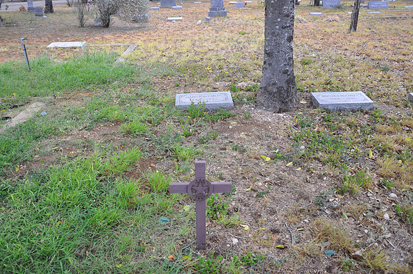 McCarley, James P.