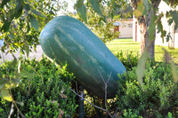 Stockdale Watermelon