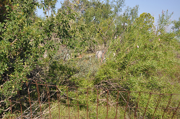 Sudduth Cemetery