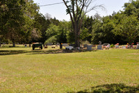 Corinth Missionary Baptist Church Cemetery - Schlenburg