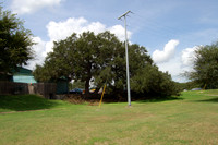 Indian Marker Tree 0002