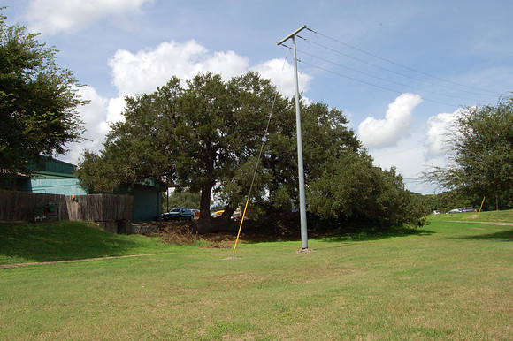 Indian Marker Tree 0002