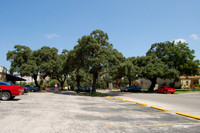 Log Cabin Oaks