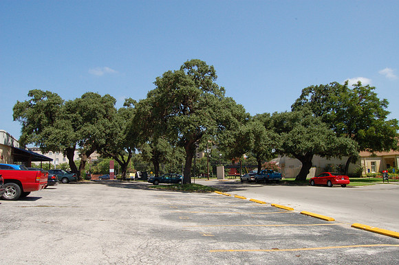 Log Cabin Oaks