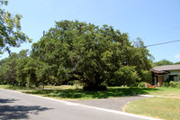 Kyle Auction Oak 0001