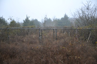 Castleman Cemetery