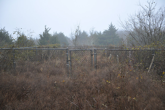 Castleman Cemetery