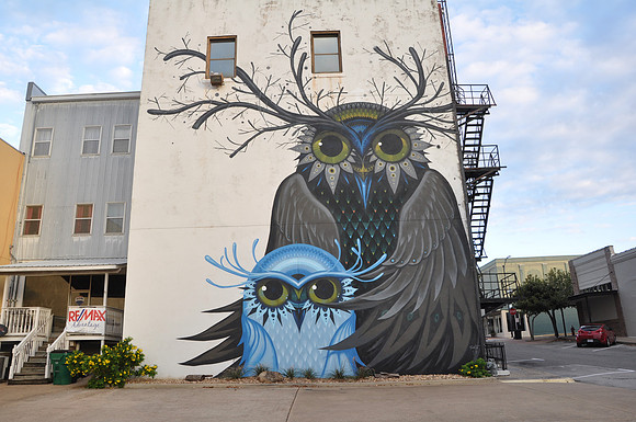 Owls