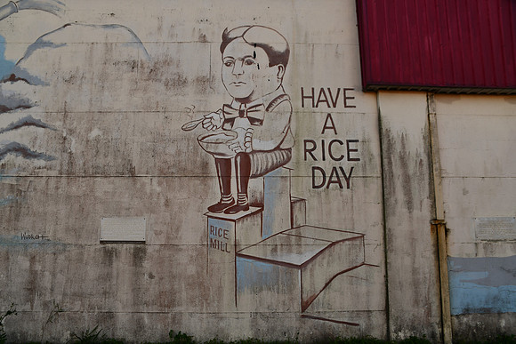 Rice 0001d