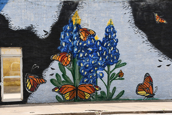 Monarch 0001b